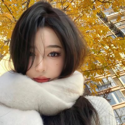 布拉沃大师 在线观看